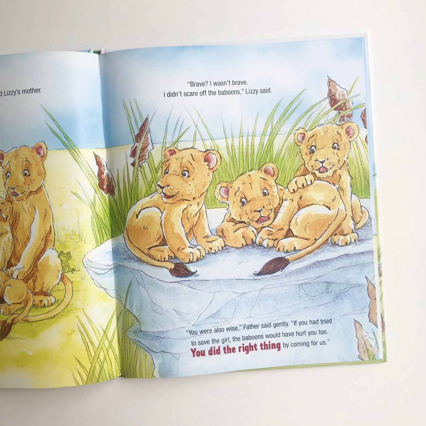 Lizzy the Lioness - tiny-seeds-bookshop-christian-books-for-kids