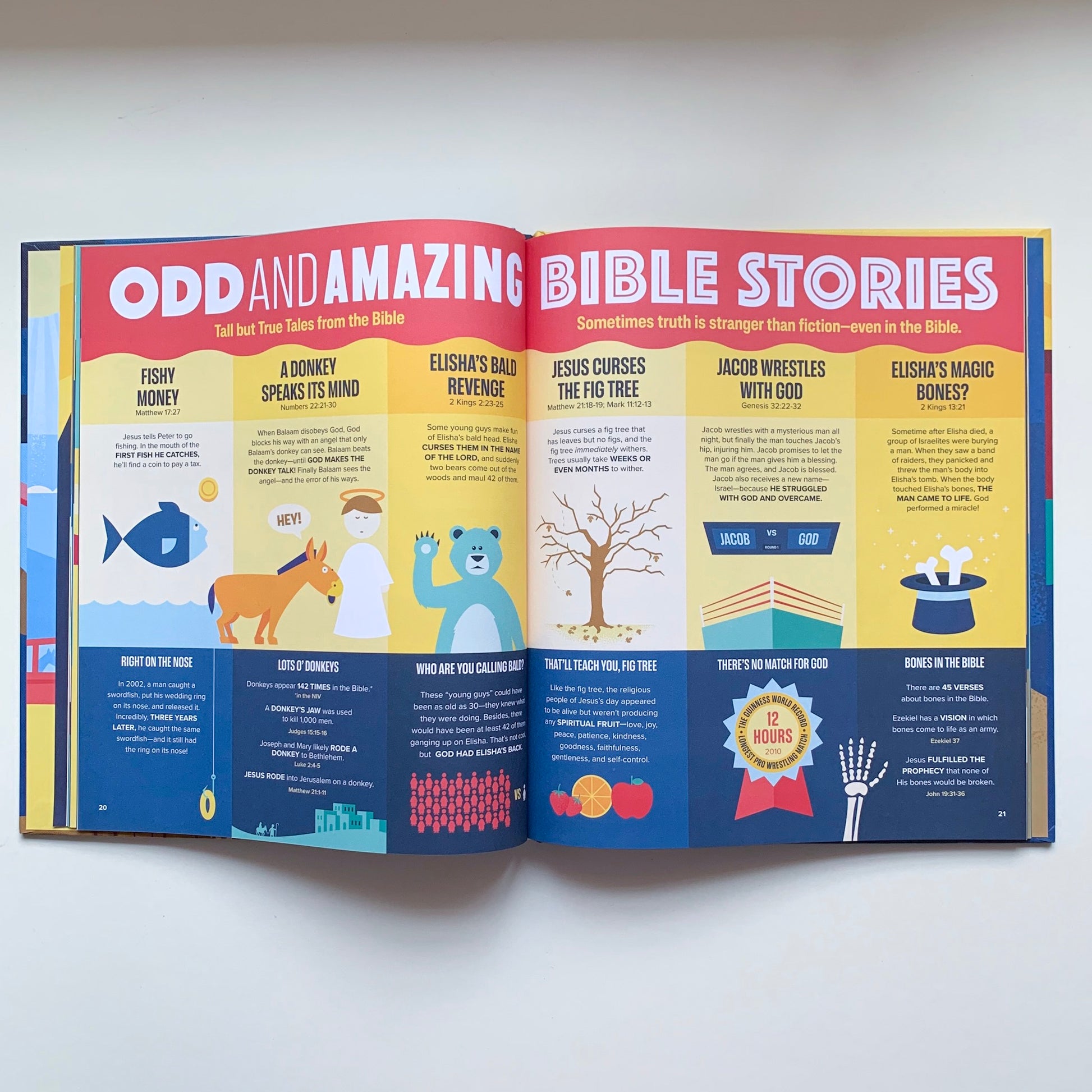 Bible Infographics for Kids: Giants, Ninja Skills, a Talking Donkey, and What's the Deal with the Tabernacle? - tiny-seeds-bookshop-christian-books-for-kids