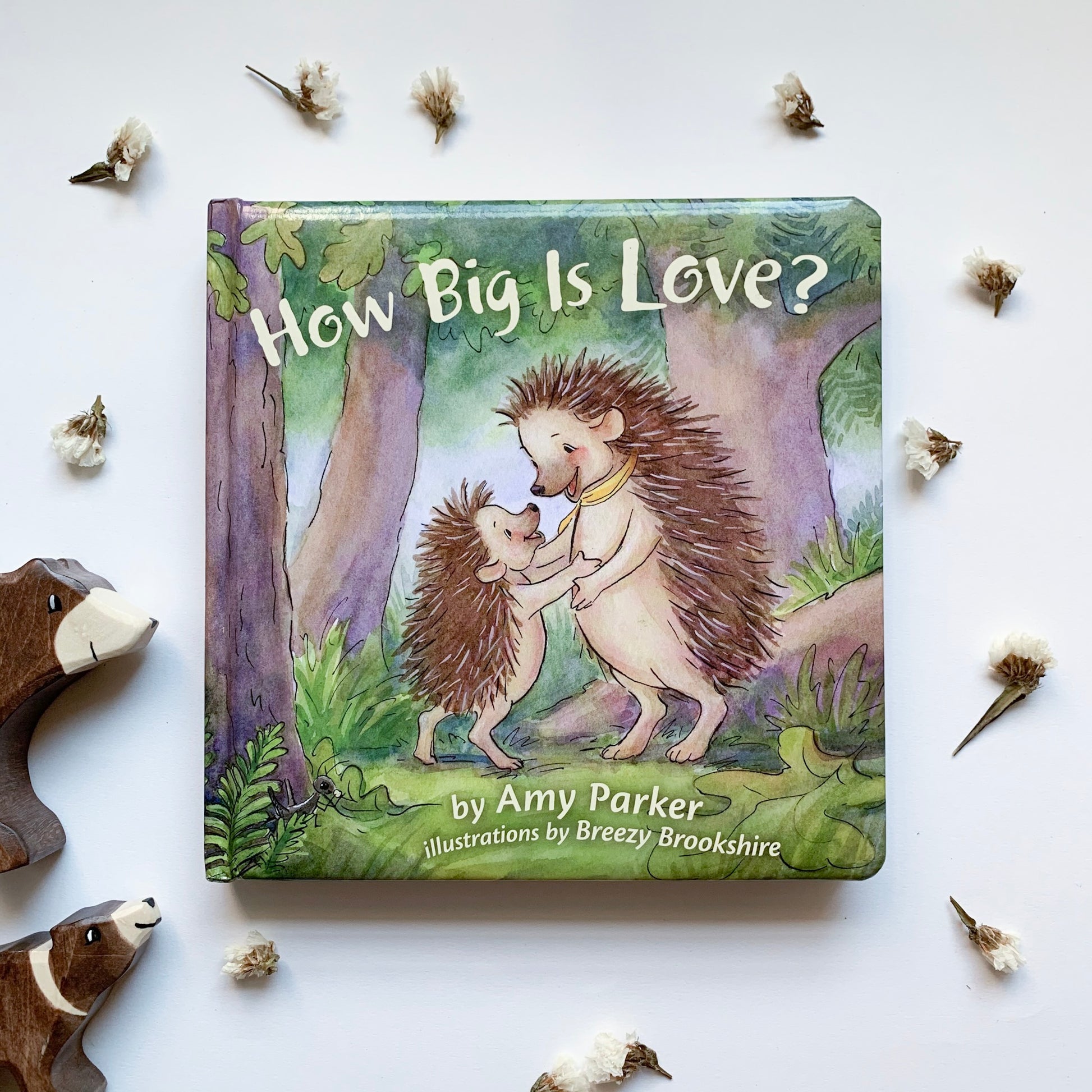 How Big Is Love - tiny-seeds-bookshop-christian-books-for-kids