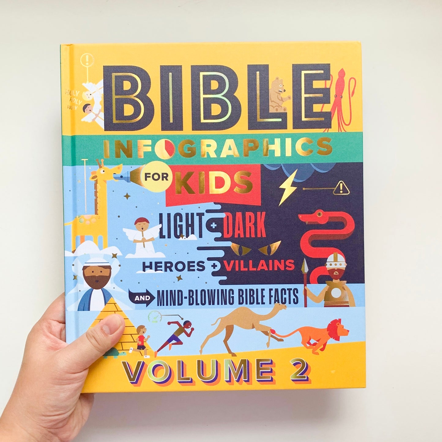Bible Infographics for Kids: Light and Dark, Heroes and Villains, and Mind-Blowing Bible Facts - tiny-seeds-bookshop-christian-books-for-kids