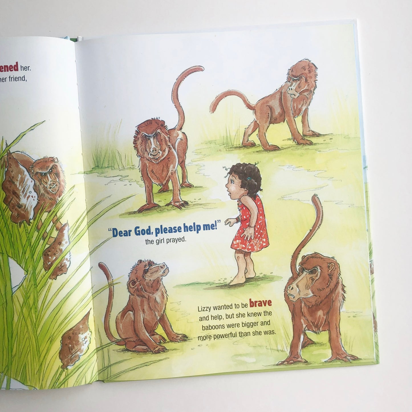 Lizzy the Lioness - tiny-seeds-bookshop-christian-books-for-kids