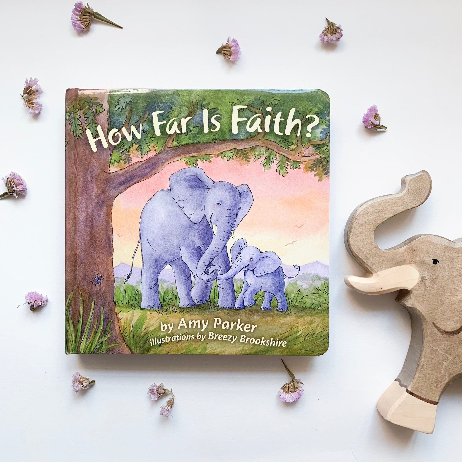 How Far is Faith - tiny-seeds-bookshop-christian-books-for-kids