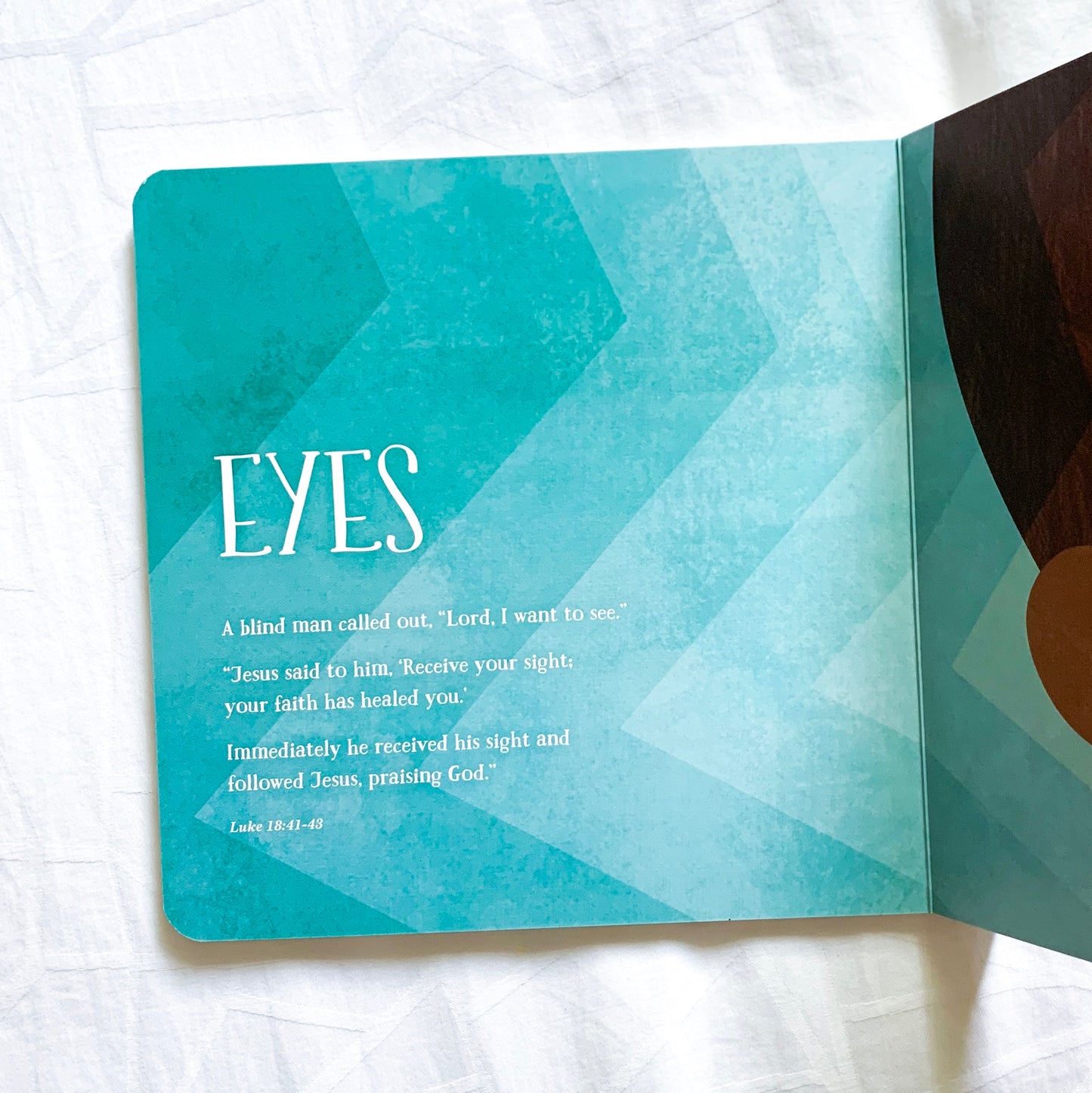 Jesus Heals: An Anatomy Primer – Christian board book about Jesus’ healing miracles for young children