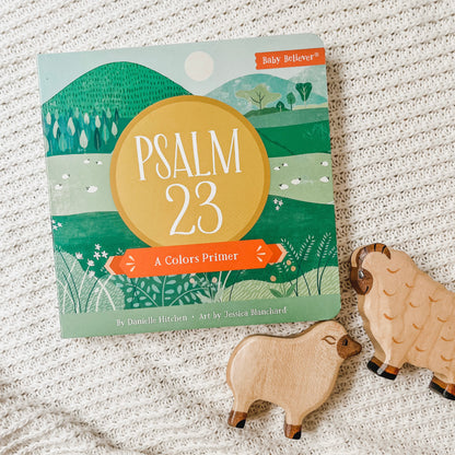 Psalm 23: A Colors Primer board book for babies and toddlers.