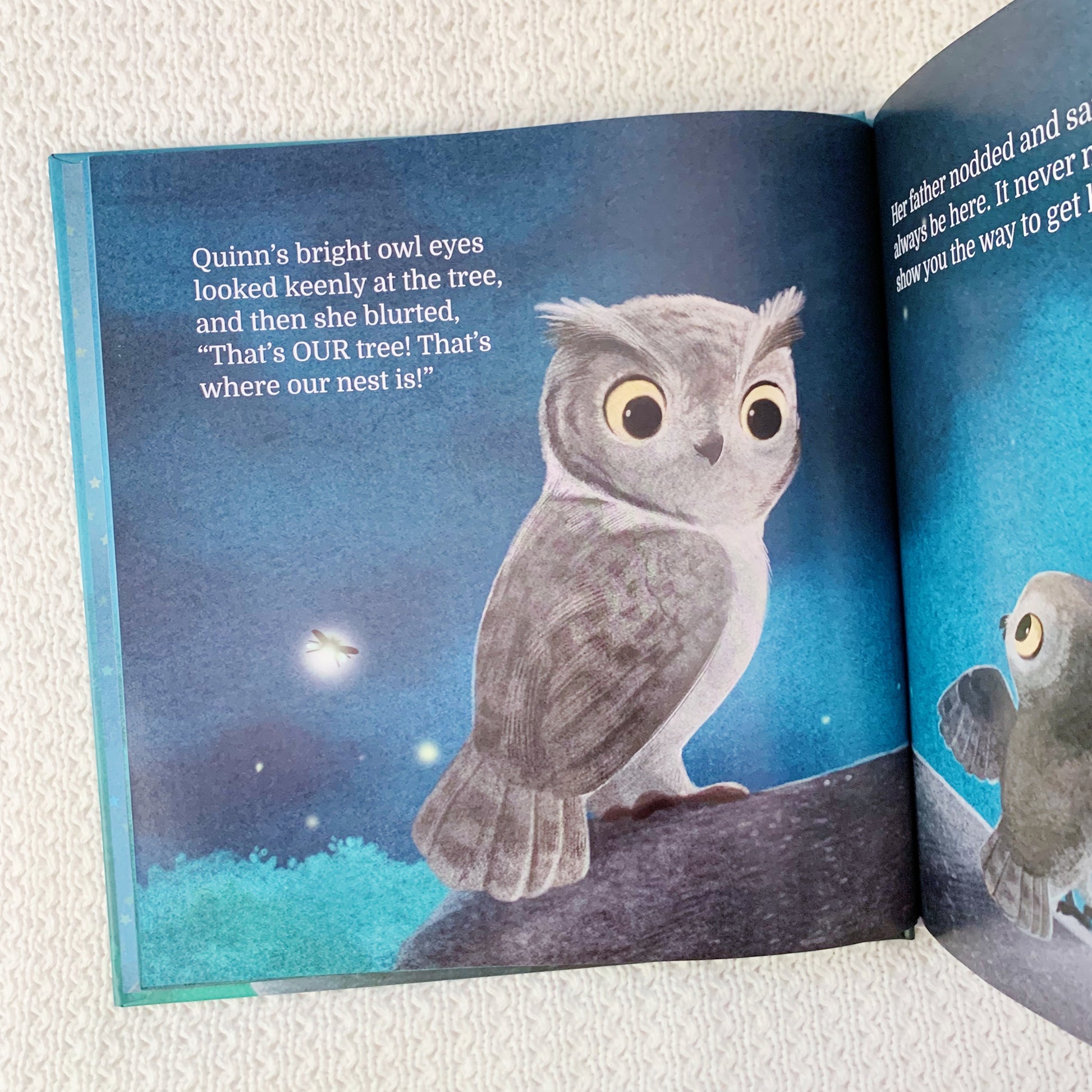 Quinn’s Promise Rock – Christian picture book about God’s presence and love for children.