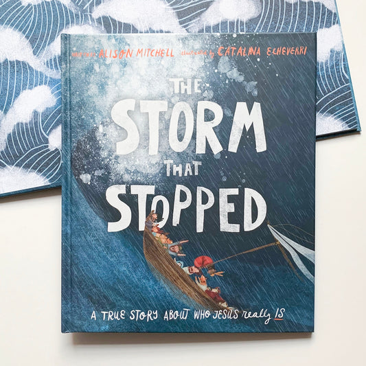 The Storm That Stopped Christian children’s Bible storybook – Jesus calms the storm and shows His power and love.