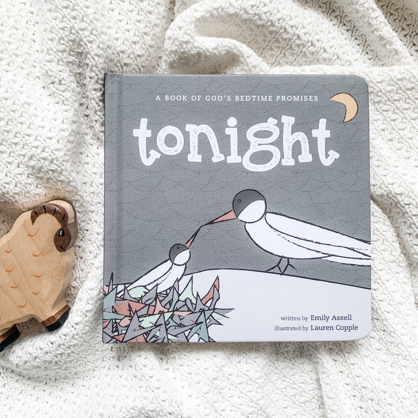 Tonight Christian bedtime board book – faith-based story about God’s peace, love, and protection for babies and toddlers.